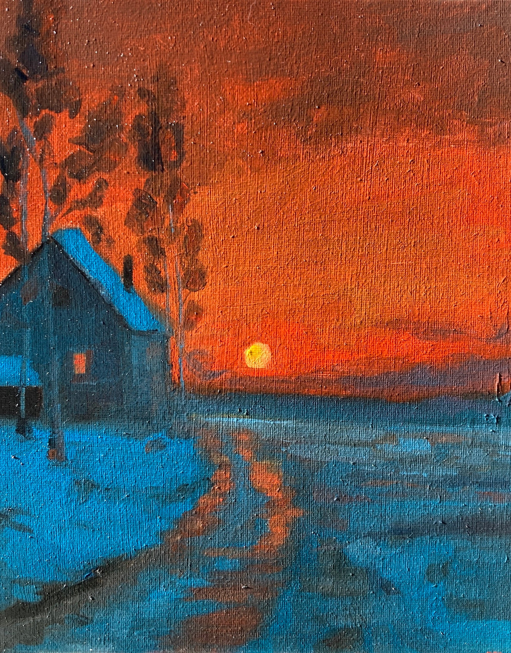 Light and Snow Study